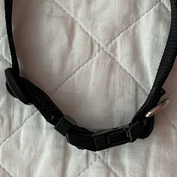 Aspen Pets Dog Collar - Picture 5 of 6